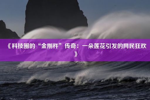 《科技圈的“金刚杵”传奇：一朵莲花引发的网民狂欢》