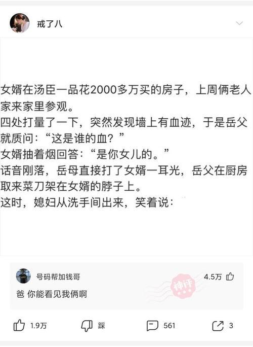 女婿挥洒科技新章，笑谈创新时代之巅