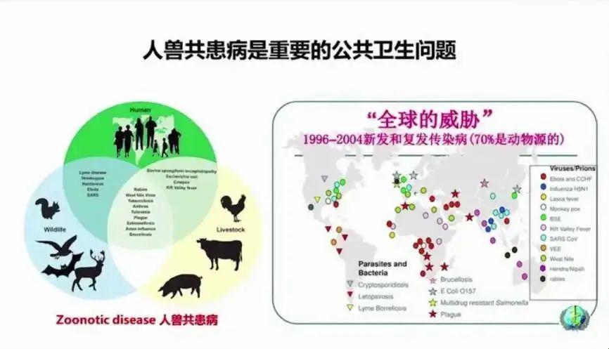 “人畜同框”揭秘：共性关系，笑侃全网