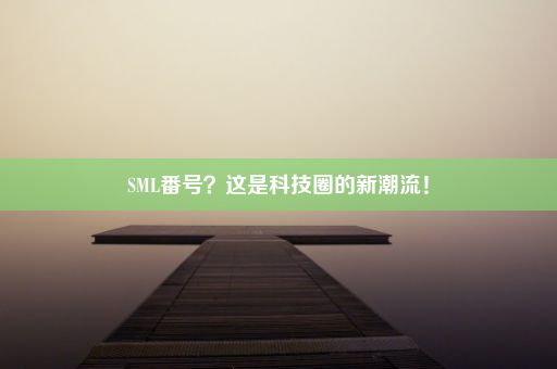 SML番号？这是科技圈的新潮流！