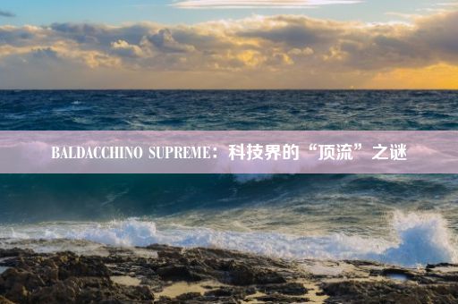 BALDACCHINO SUPREME：科技界的“顶流”之谜