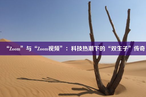 “Zoom”与“Zoom视频”：科技热潮下的“双生子”传奇