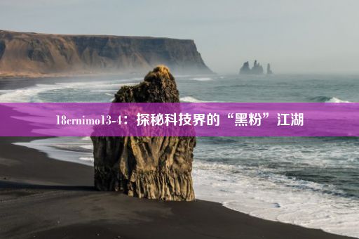 18crnimo13-4：探秘科技界的“黑粉”江湖