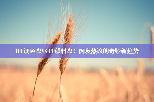 TPU调色盘VS PP颜料盘：网友热议的奇妙新趋势