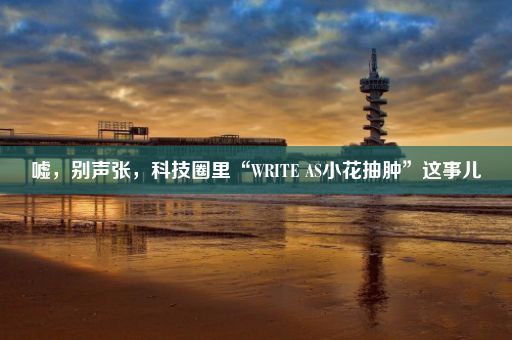 嘘，别声张，科技圈里“WRITE AS小花抽肿”这事儿