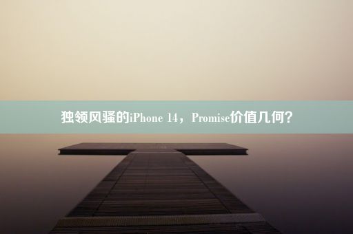 独领风骚的iPhone 14，Promise价值几何？