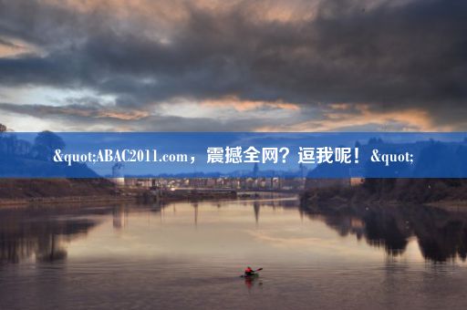 "ABAC2011.com，震撼全网？逗我呢！"