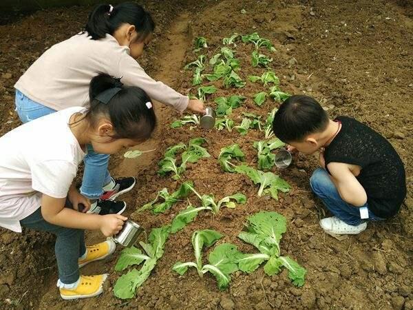 "耕娘田":科技版的母子情深