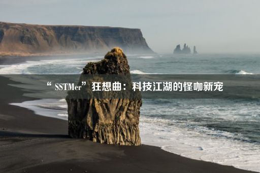 “ SSTMer”狂想曲：科技江湖的怪咖新宠