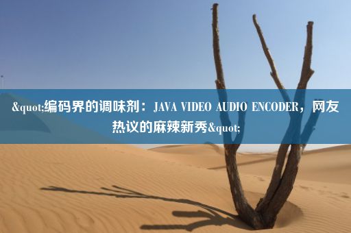 "编码界的调味剂：JAVA VIDEO AUDIO ENCODER，网友热议的麻辣新秀"