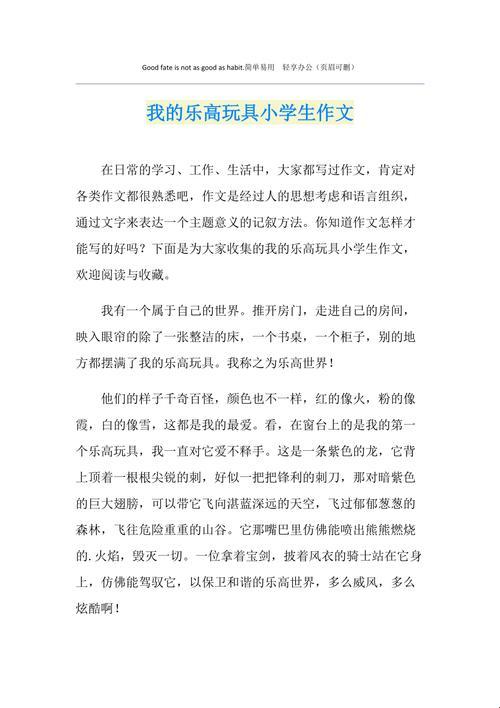 《玩具日记， 乐乐的“匠心独运”》