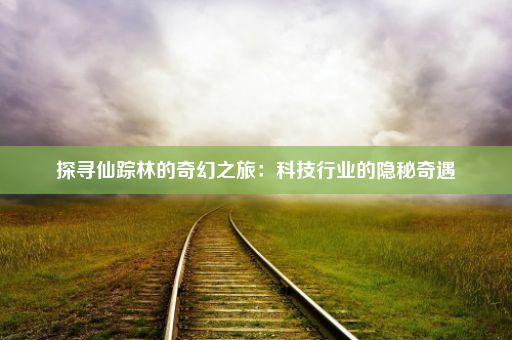 探寻仙踪林的奇幻之旅：科技行业的隐秘奇遇