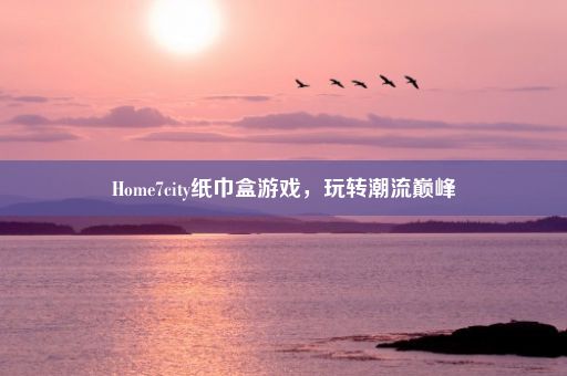 Home7city纸巾盒游戏，玩转潮流巅峰