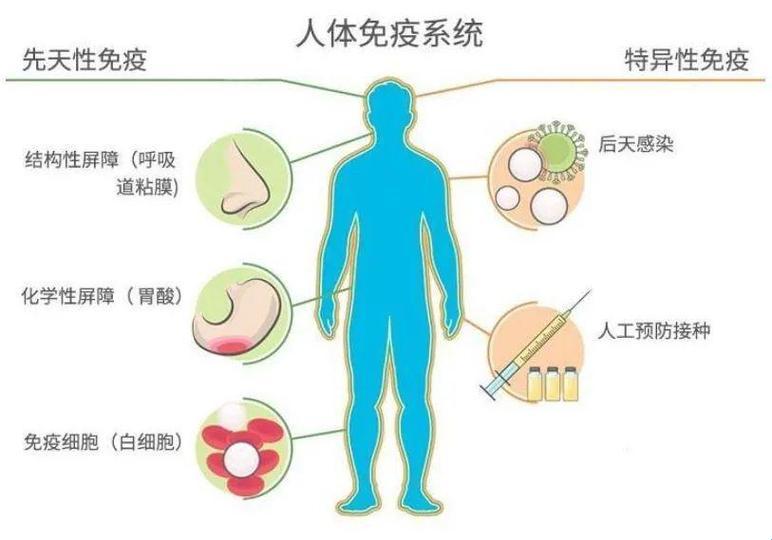 潮男免疫系统守则：笑傲生活，逆流而上