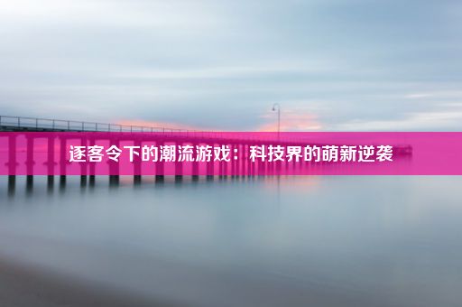 逐客令下的潮流游戏：科技界的萌新逆袭