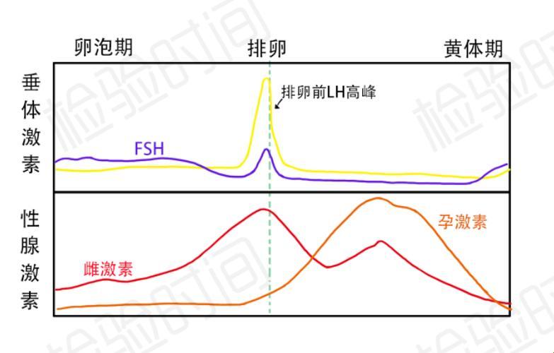 “高能lH1对多”，科技界的“潮流骗子”？