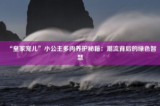 “皇家宠儿”小公主多肉养护秘籍：潮流背后的绿色智慧