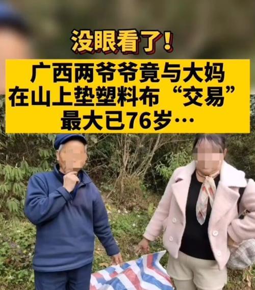 绿意盎然中的银发交易：笑谈70岁老人森林里的10元买卖