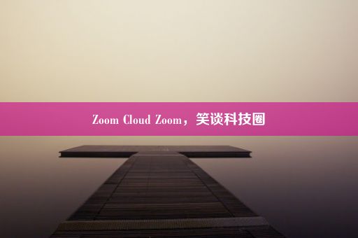 Zoom Cloud Zoom，笑谈科技圈