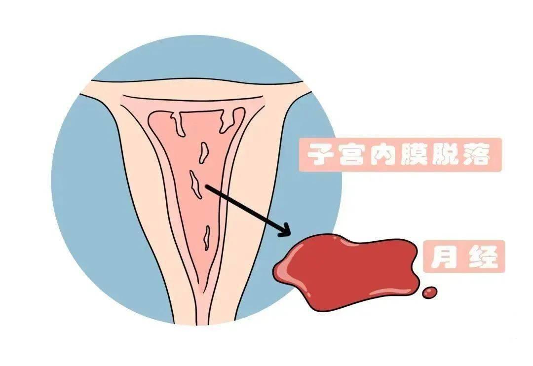 “妈呀，她说月经走了！”：惊喜不断的科技生活