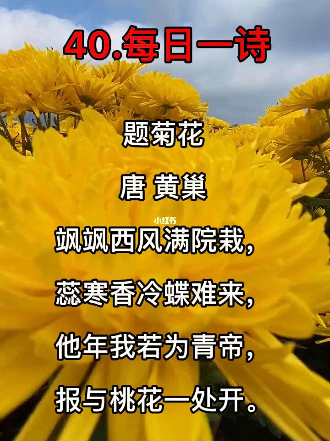 “错一题，菊放笔”：一场科技圈的幽默误解