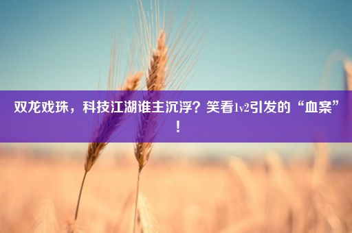 双龙戏珠，科技江湖谁主沉浮？笑看1v2引发的“血案”！