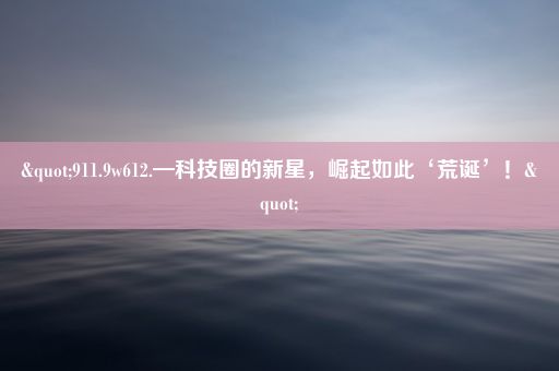 "911.9w612.—科技圈的新星，崛起如此‘荒诞’！"