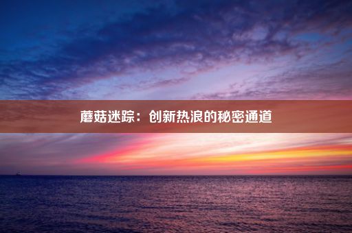 蘑菇迷踪：创新热浪的秘密通道