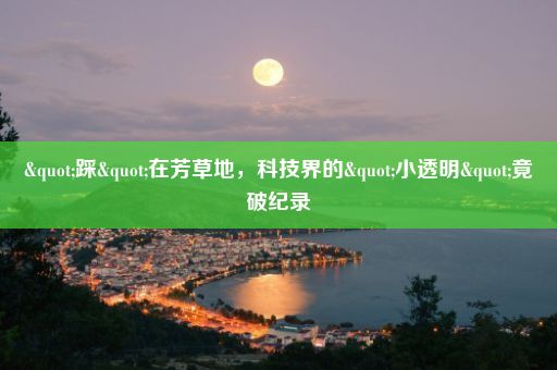 "踩"在芳草地，科技界的"小透明"竟破纪录