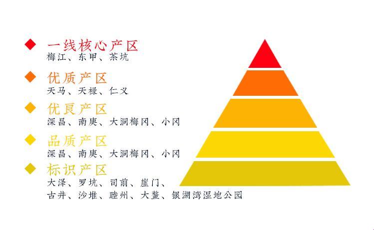 科技圈“一线城市”与“二线城市”的差距：创新热潮下的“疯狂”差距