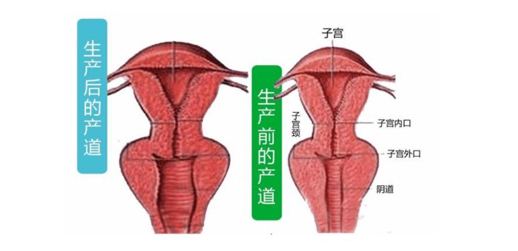 “未孕之下，松懈之谜：科技视角下的尴尬探讨”