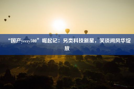 “国产yeezy500”崛起记：另类科技新星，笑谈间风华绽放