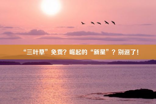 “三叶草”免费？崛起的“新星”？别逗了！