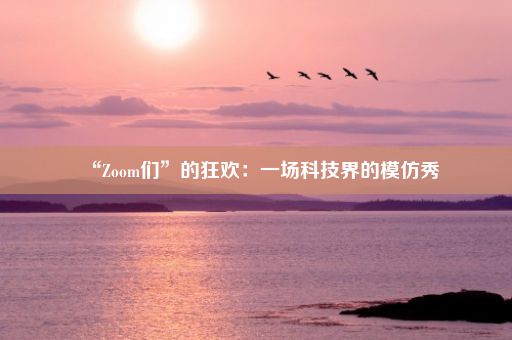 “Zoom们”的狂欢：一场科技界的模仿秀