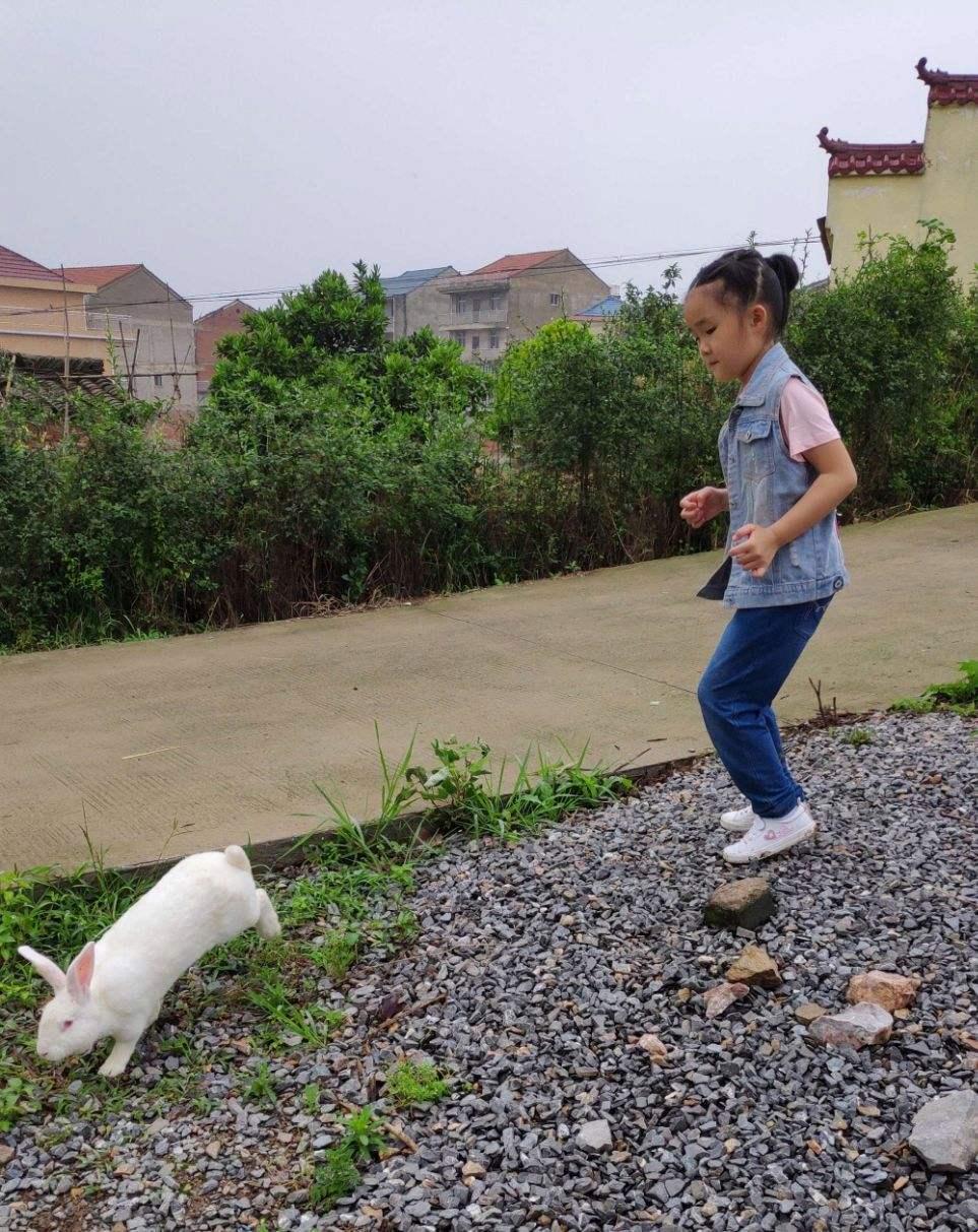 跳跳兔解码：潮流or奇葩，网界新宠儿的另类剖析