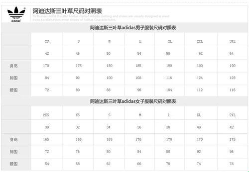 三叶草的奇幻之旅：探寻欧洲码与天堂的秘密