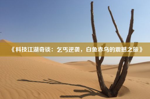 《科技江湖奇谈：乞丐逆袭，白鱼赤乌的震撼之旅》