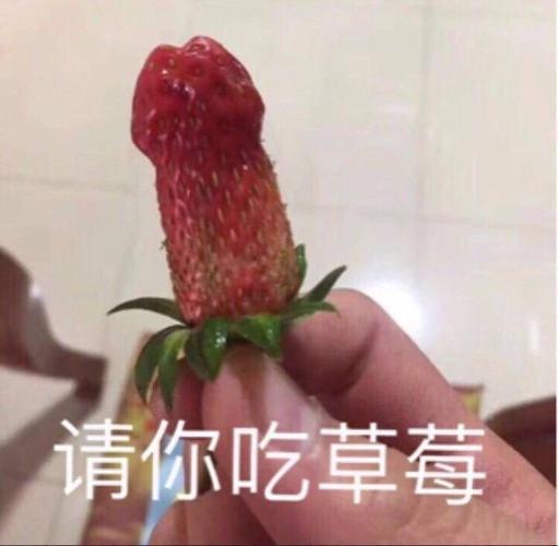 “腿秀草莓盛宴”：网潮背后的讽刺大戏