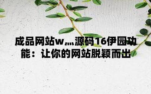 成品网站W灬源码16伊园功能：探索科技行业的魅力