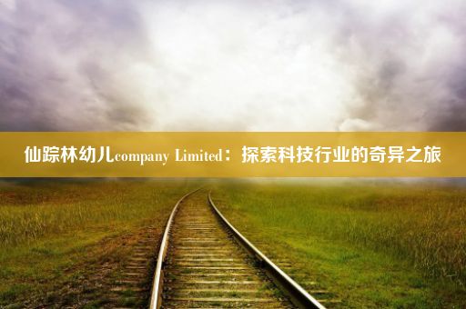 仙踪林幼儿company Limited：探索科技行业的奇异之旅