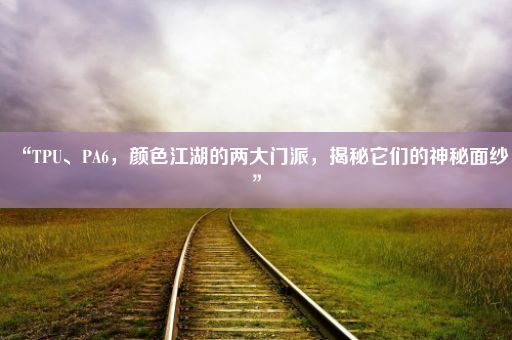 “TPU、PA6，颜色江湖的两大门派，揭秘它们的神秘面纱”