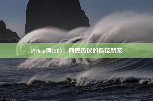 Python狗CSDN：网民热议的科技新宠