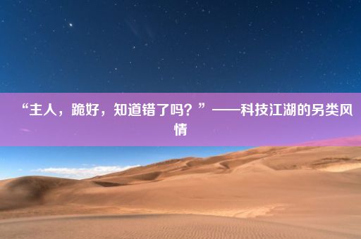 “主人，跪好，知道错了吗？”——科技江湖的另类风情