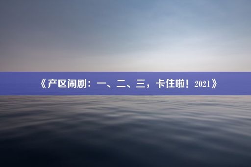 《产区闹剧：一、二、三，卡住啦！2021》