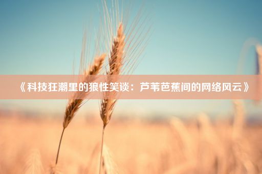 《科技狂潮里的狼性笑谈：芦苇芭蕉间的网络风云》