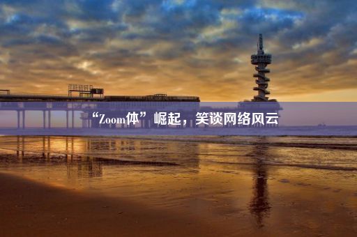 “Zoom体”崛起，笑谈网络风云