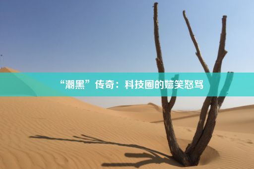 “潮黑”传奇：科技圈的嬉笑怒骂