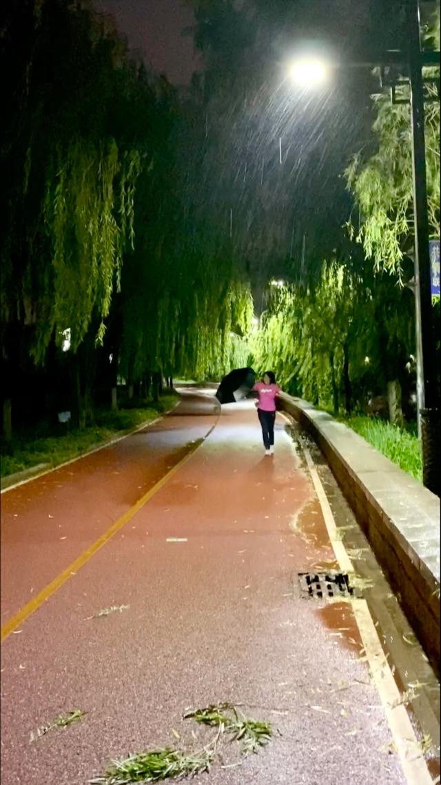 小雨体检笑谈：科技新星崛起的奇葩现场