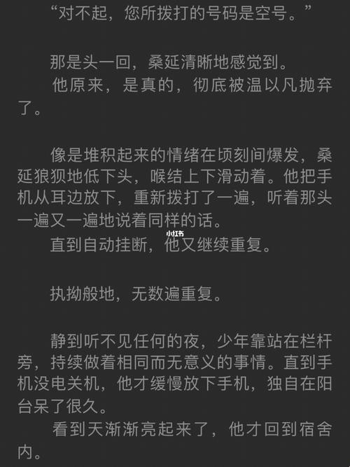 老张的“免费小说盛宴”：一场科技时代的荒诞剧