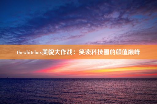 thewhitebox美貌大作战：笑谈科技圈的颜值巅峰